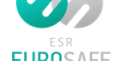 Eurosafe Image Logo